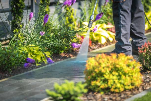 Best Gutter Cleaning  in West Richland, WA