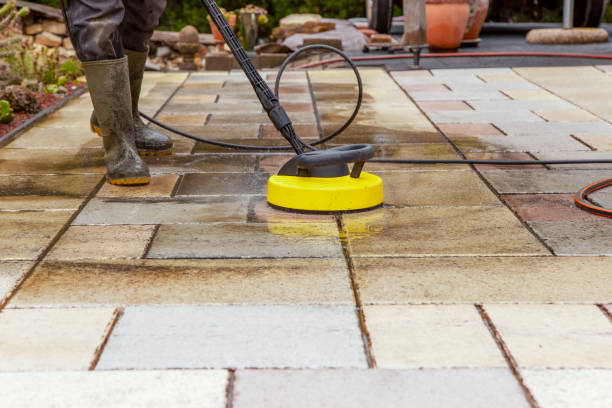 Best Animal Enclosure Cleaning  in West Richland, WA